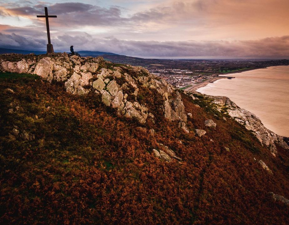 Bray