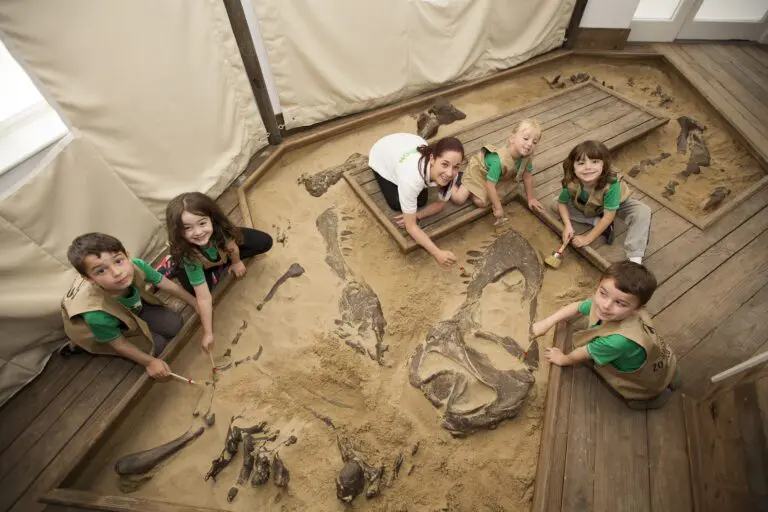 Dinosaur Discovery – Family Experience