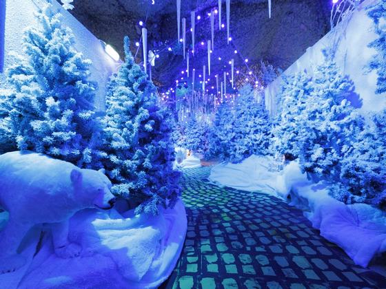 Elf Town Dublin 2026