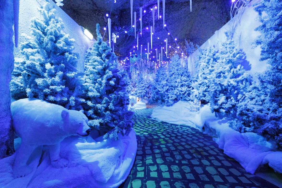 Elf Town Dublin 2026