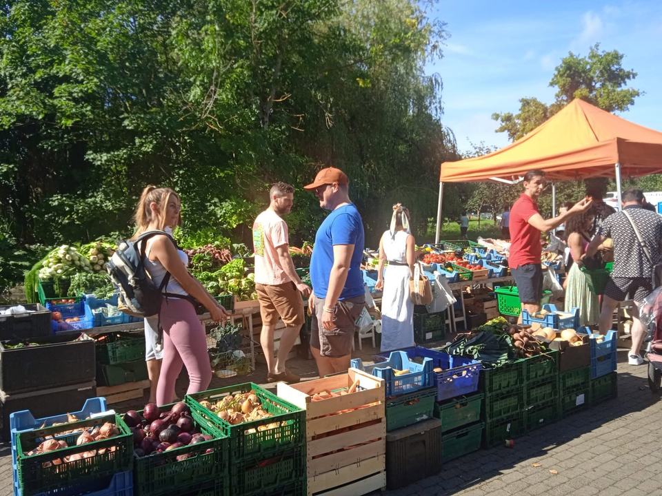 Herbert Park Food Market