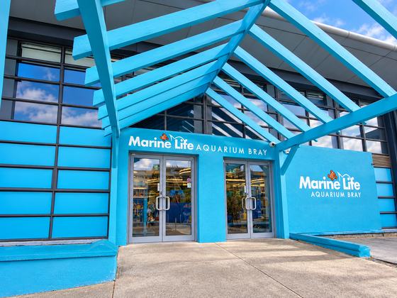Marine Life Bray