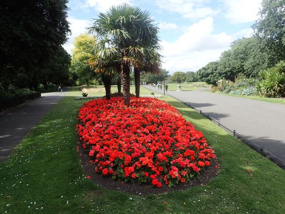 Phoenix Park – People’s Flower Gardens