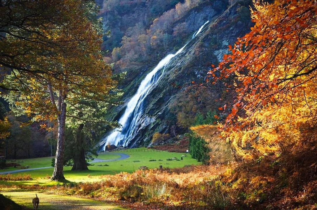 Powerscourt Waterfall