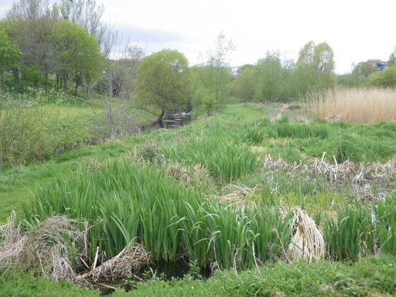 Tolka Valley Park