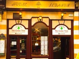 The Cedar Tree