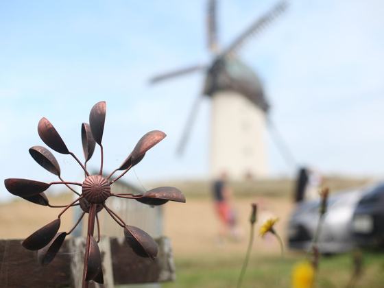 Skerries Mills Harvest Time Festival