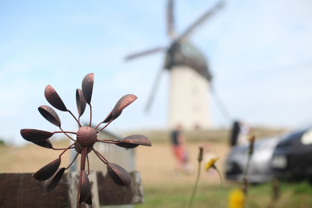 Skerries Mills Harvest Time Festival