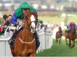 Naas Racecourse