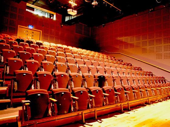dlr Mill Theatre