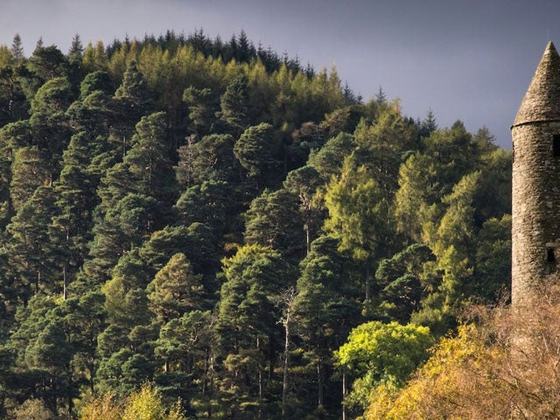 Wicklow Day Tour - Irish Day Tours