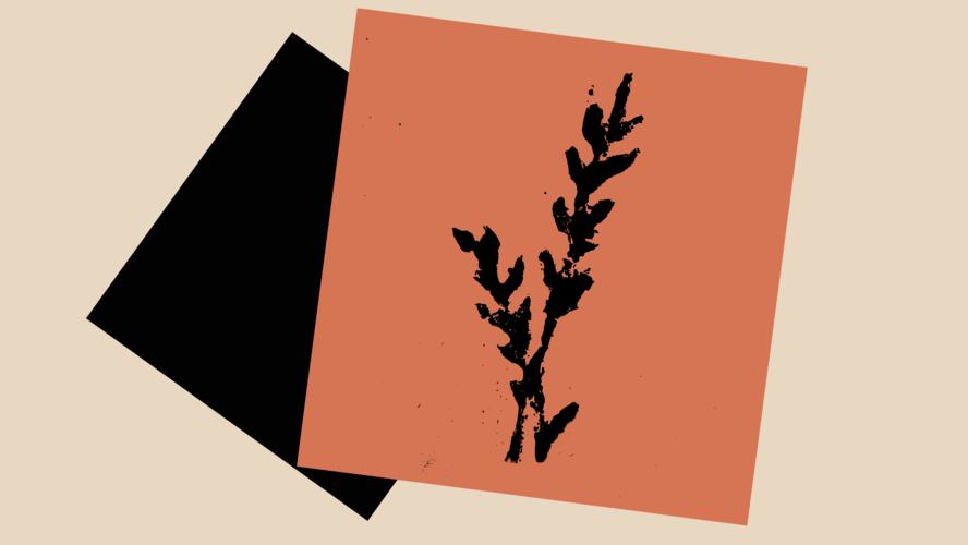 Discover the Boglands - Seamus Heaney: Listen Now Again