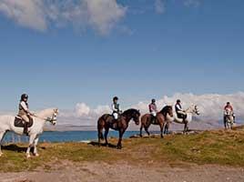 Wicklow Equi Tours