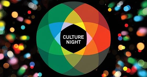 Culture Night at the National Museum of Ireland, Kildare Street