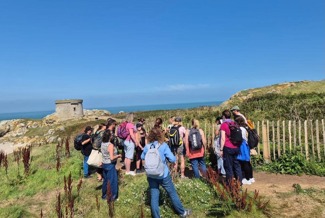 Ireland's Eye Foraging & Beach Picnic