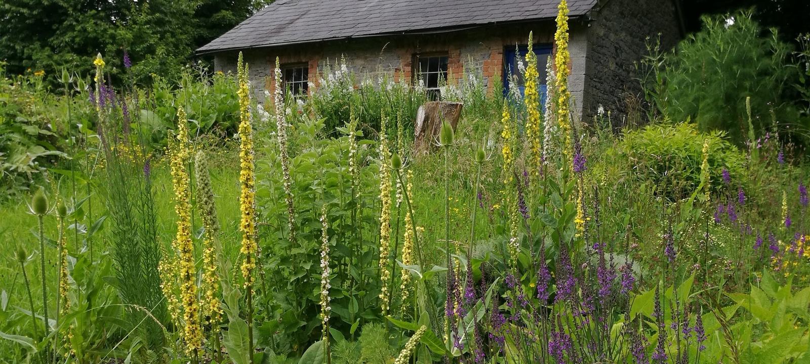 The Herb School