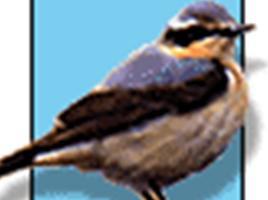 Birdsireland