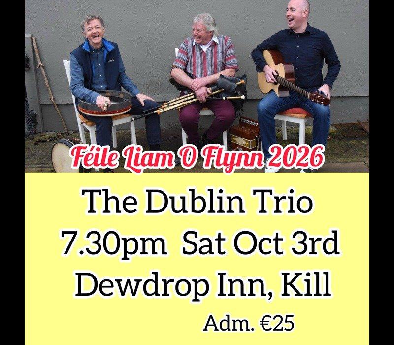 The Dublin Trio (The Dewdrop Inn - Kill)