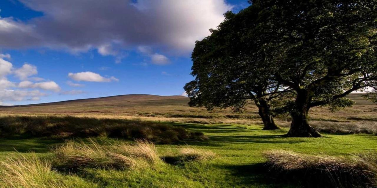 Private Day Tour to Wicklow Gardens & Glendalough Tour from Dublin