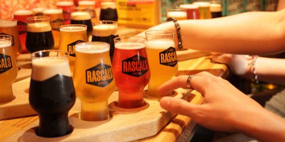 Rascals Brewery Tour in Dublin