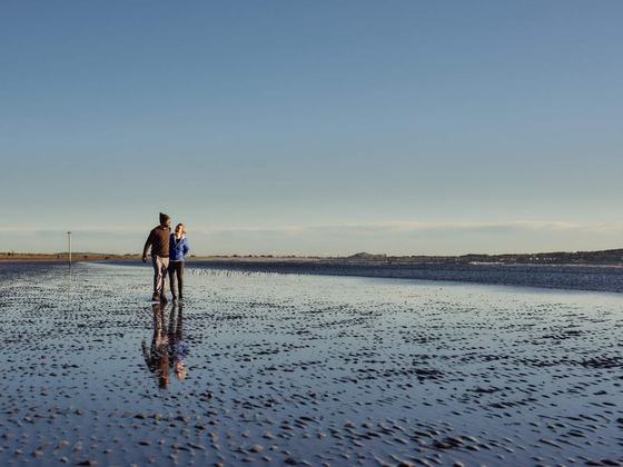 Bull Island
