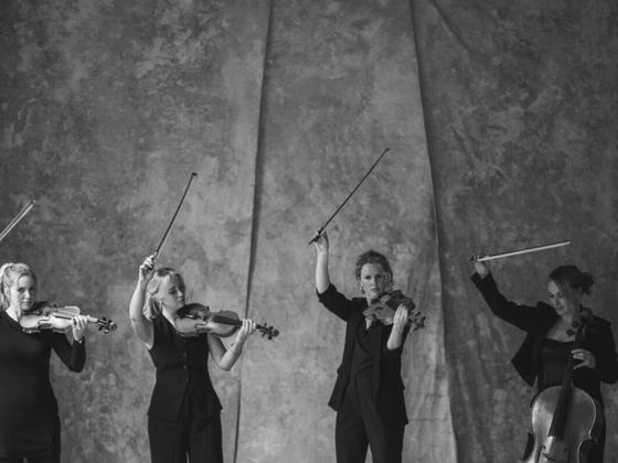 Movie Classics, Irish Favourites and Timeless hits performed by Leinster String Quartet.