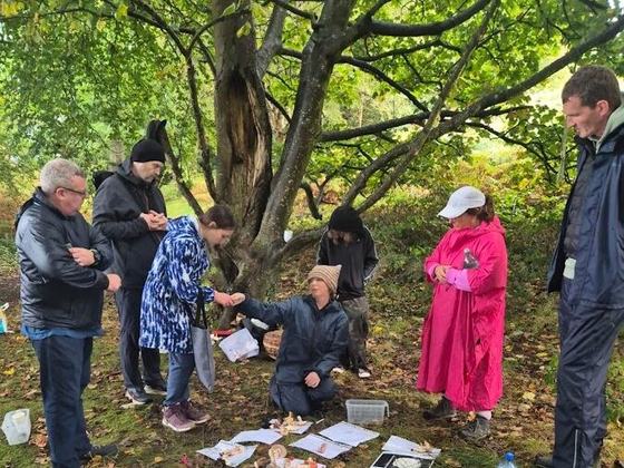 Howth Foraging – Howth Mushroom Safari