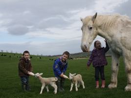 Newgrange Open Farm and Coffee Shop