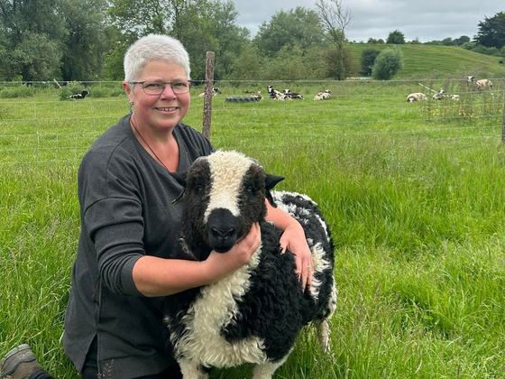 Boyne Valley Wools