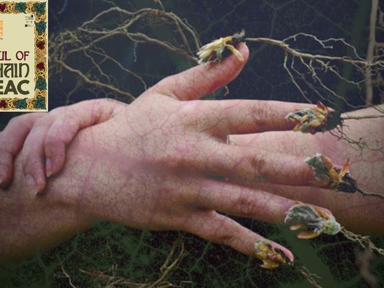Mystical Ireland – The Power Of Ancient Cures and Curses