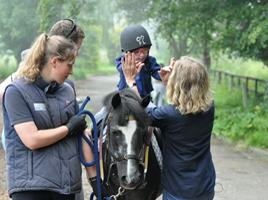 Festina Lente Equestrian Centre