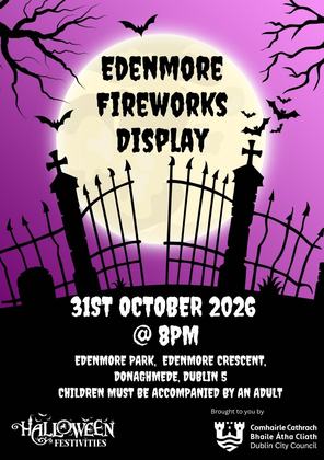 Edenmore Fireworks Display