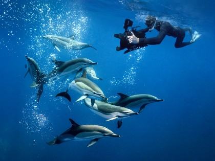 Ken O’ Sullivan – Stories from the Sea