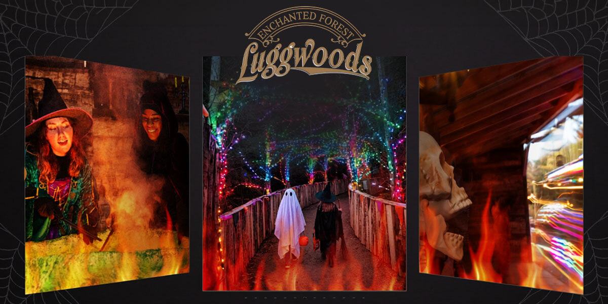 Halloween at Luggwoods
