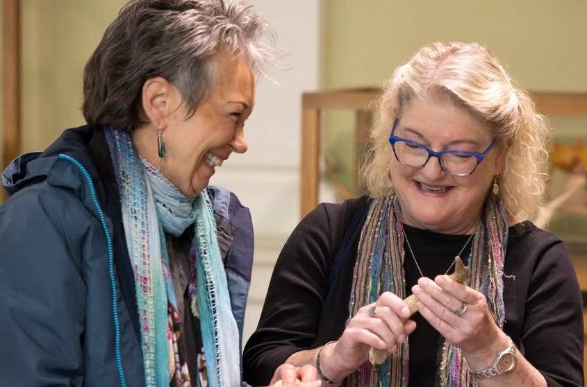 Slow Looking Tour: Highlights of the National Museum of Ireland