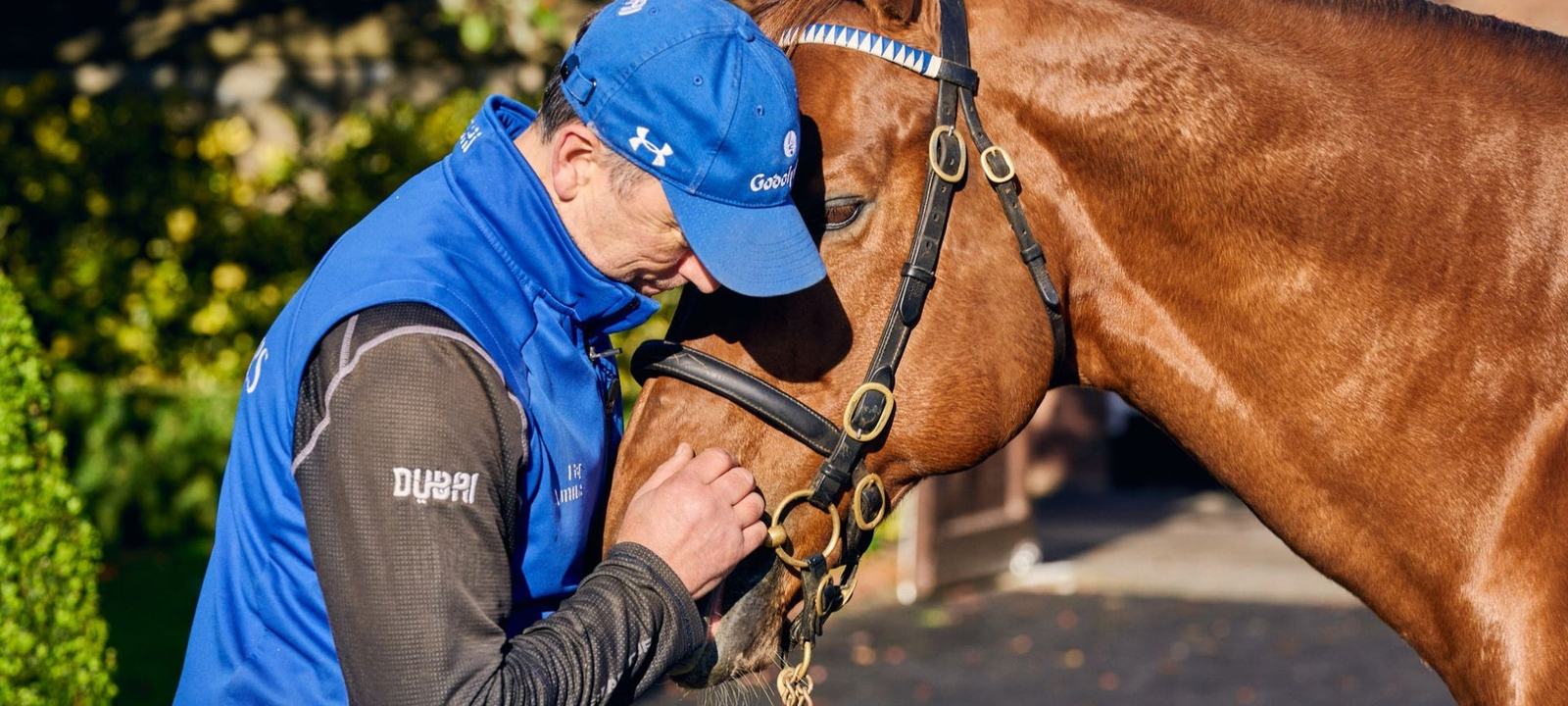 Kildangan Stud - Foal to Fame Tour