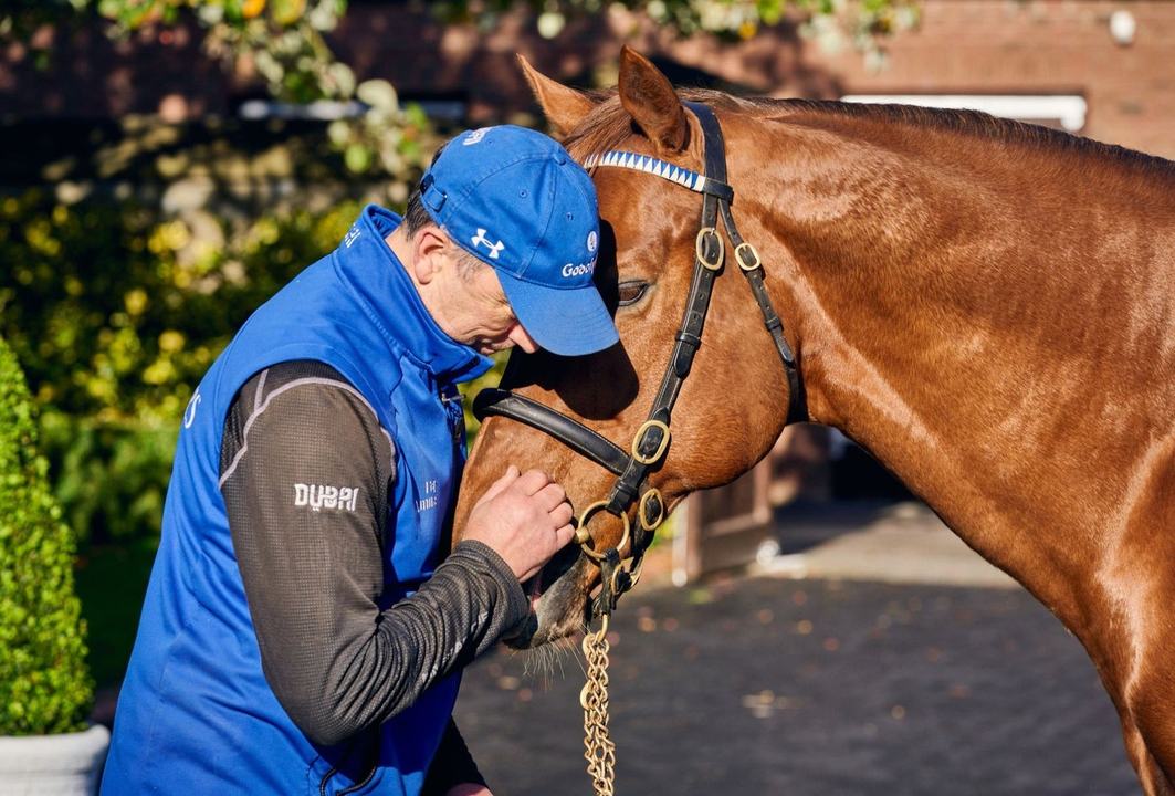 Kildangan Stud - Foal to Fame Tour