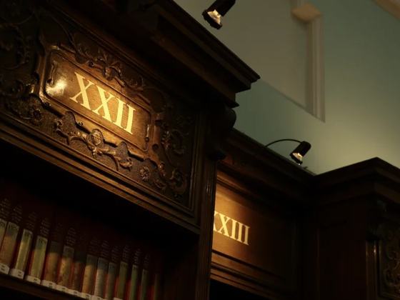 Dublin by Dusk : Visit the Reading Room