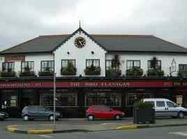 The Bird Flanagan