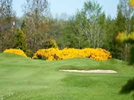 County Meath Golf Club