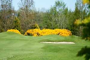 County Meath Golf Club