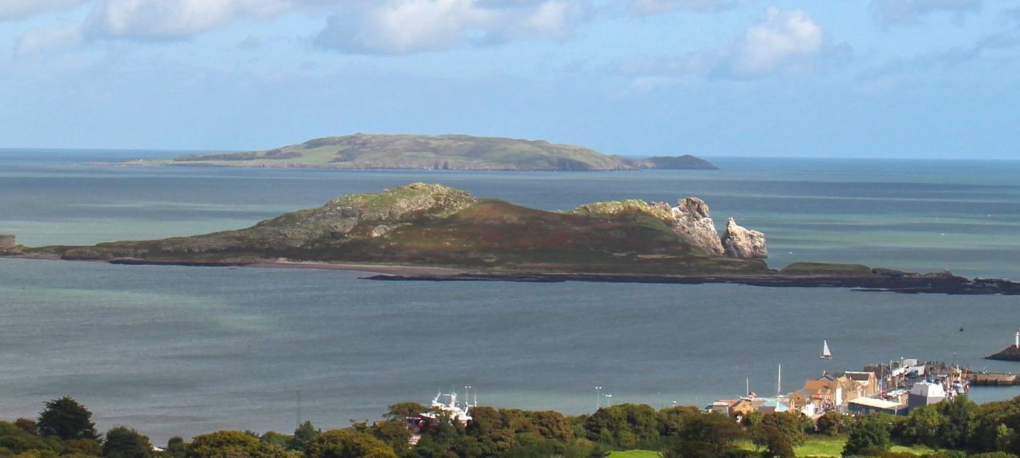 Howth Adventures - Panoramic E-Bike Tour
