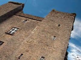 Dardistown Castle