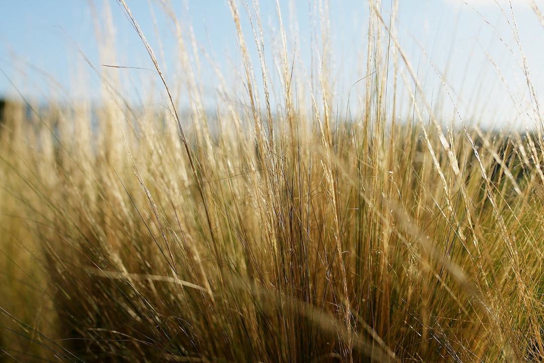 Oíche Filíochta le Laoighseach Ní Choisdealbha – Poetry Readings | Artist Talk | Chat |Audience Q&A