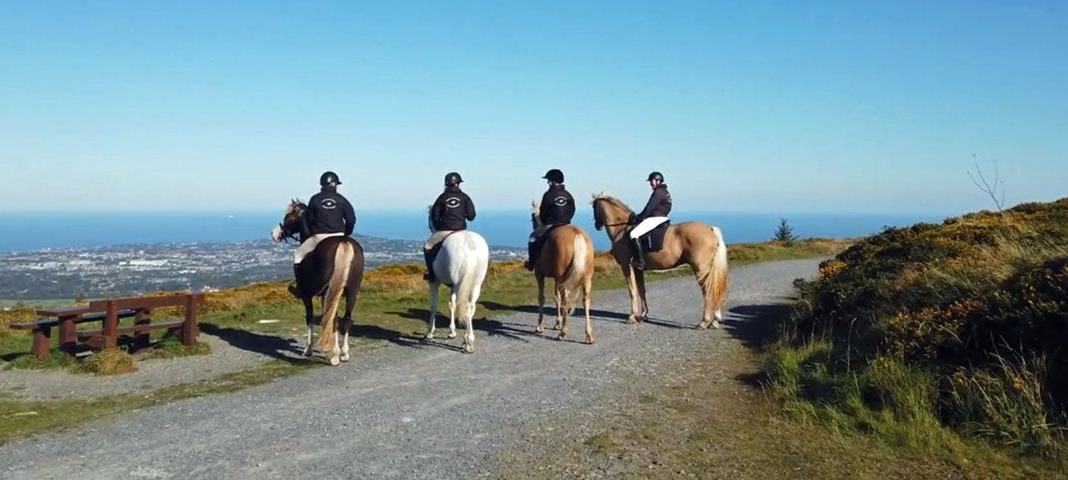 The Paddocks Riding Centre