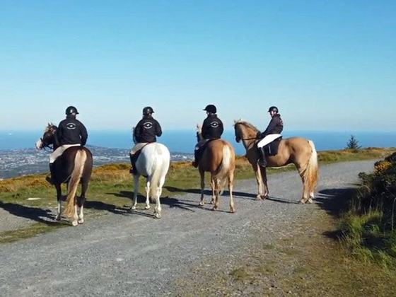 The Paddocks Riding Centre