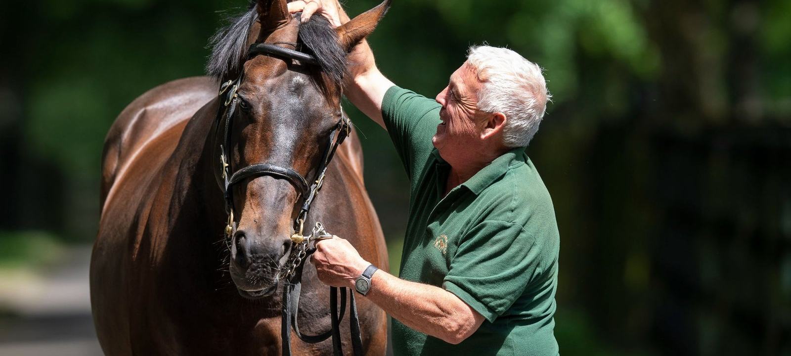 The Irish National Stud & Gardens Experience by Horse Country