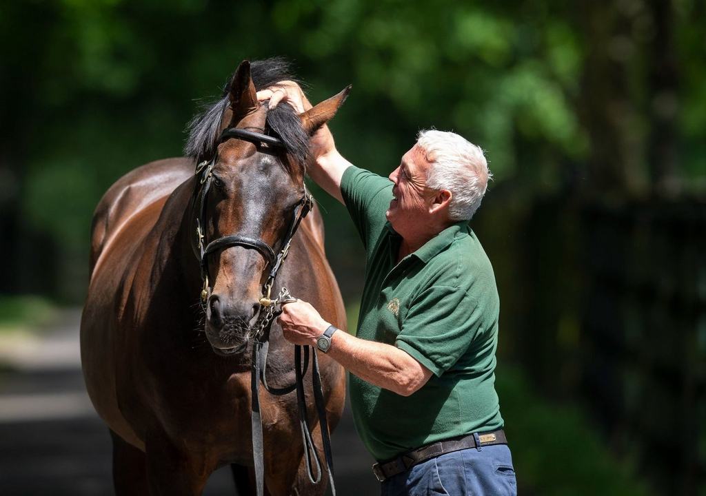 The Irish National Stud & Gardens Experience by Horse Country