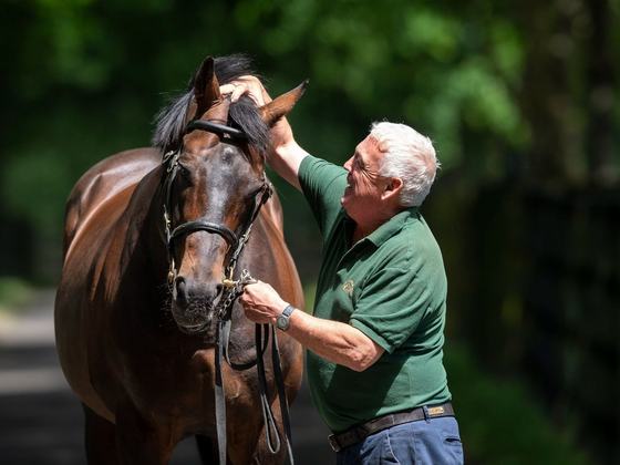 The Irish National Stud & Gardens Experience by Horse Country