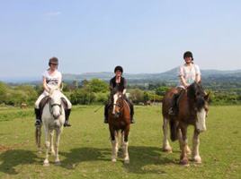 Killegar Stables